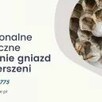 Usuwanie gniazd os i szerszeni - 6