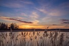 PEREŁKA działka z LINIĄ BRZEGOWĄ jeziora 10 min od PŁOCKA - 2