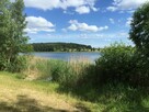 PEREŁKA działka z LINIĄ BRZEGOWĄ jeziora 10 min od PŁOCKA - 1