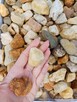 Żwir miodowy – kamień dekoracyjny rozmiar 16-32 mm - 3