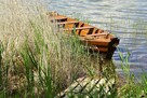 PEREŁKA działka z LINIĄ BRZEGOWĄ jeziora 10 min od PŁOCKA - 4