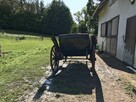 sprzedam bryczkę - 2