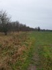 Działki budowlane nad morzem przy lesie - 6