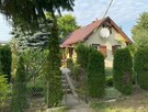 Działka rekreacyjna z domkiem ROD Zaręba - Golub Dobrzyń - 2