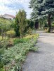Działka rekreacyjna z domkiem ROD Zaręba - Golub Dobrzyń - 7