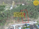 Prestiżowa lokalizacja + prywatny las - 4
