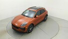 Macan - 2
