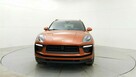 Macan - 3
