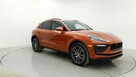 Macan - 5