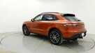 Macan - 7