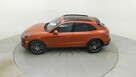 Macan - 8