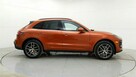 Macan - 10