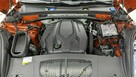 Macan - 14