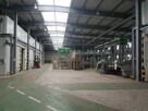 Budynek sortowniczo-przechowalniczy - 7