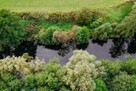 Działka z linią brzegową Kanału Elbląskiego - Miłomłyn. - 5