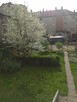 Sprzedam lub zamienię mieszkanie - 8