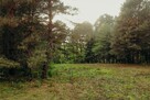 Działka z linią brzegową Kanału Elbląskiego - Miłomłyn. - 8