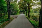 Działka z linią brzegową Kanału Elbląskiego - Miłomłyn. - 2