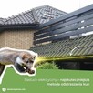 Naprawa dachu - Zwalczanie kun - Wdmuchiwanie izolacji - 8