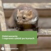 Naprawa dachu - Zwalczanie kun - Wdmuchiwanie izolacji - 6