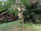 Dom + działka 1500m2 - Głusk - 4