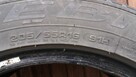 Opony letnie Dębica Presto 205/55 R16 Komplet 4xszt - 3