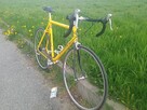 MÜSING CAYO rower szosowy kolarka OKAZJA!!!pompka gratis - 2