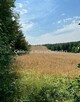 Działka rolno-budowlana Biskupice gm. Olsztyn - 7