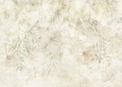 Tapeta dmuchawce - 3