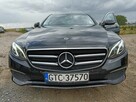 Mercedes - 9