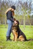 Maska - piękny młody aktywny duży pies do adopcji - 6