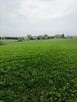 Wiśniowo Ełckie - działka 1400 m2 - z warunkami zabudowy - 7