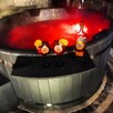 Domek z balią jacuzzi nad jeziorem w Międzybrodziu Żywieckim - 7