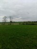 Wiśniowo Ełckie - działka 1400 m2 - z warunkami zabudowy - 2