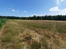 Działka Toruń Bydgoszcz 1900m - 3