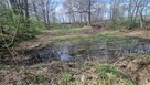 Siedlisko w Kończycach Wielkich na sprzedaż. - 8