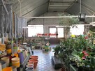 Lokal użytkowy Rydułtowy - 8