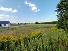 Działka 1,63 ha pod zabudowę w gm. Lubartów. - 2