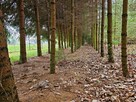 Dąbrowa - dom gotowy do zamieszkania blisko jezior - 5