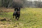 Malutki FILIPEK umiera ze strachu w schronisku - 2