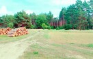 Działka z WZ 760m2 Piasek gm. Cedynia, las, rzeka Odra - 6
