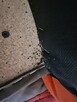 Dezynsekcja pluskwy, usuniecie karaluchów, usługi DDD Śląsk - 6