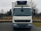 DAF LF45.180 WINDA CHŁODNIA 15EP 6,20x2,45x2,19 KLIMA AGREGAT CARRIER SUPRA 550 FUNKCJA GRZANIA 4x2 - 14
