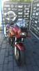 Suzuki Bandit Suzuki Bandit 1200 - 7