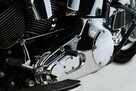 Harley-Davidson Fat Boy Dla konesera - 10