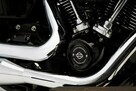Harley-Davidson Heritage Silnik 114 - 10