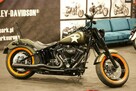 Harley-Davidson Softail Slim Wyjątkowa wersja - 3