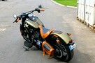 Harley-Davidson Softail Slim Jedyny w kraju - 3