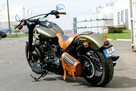 Harley-Davidson Softail Slim Jedyny w kraju - 14