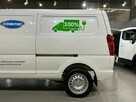 Cenntro Logistar 200 LS 200 VAN, W pełni elektryczny samochód dostawczy N1 - 16